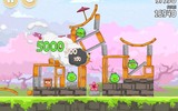 Angry-birds-seasons-cherry-blossom-level-teaser-2